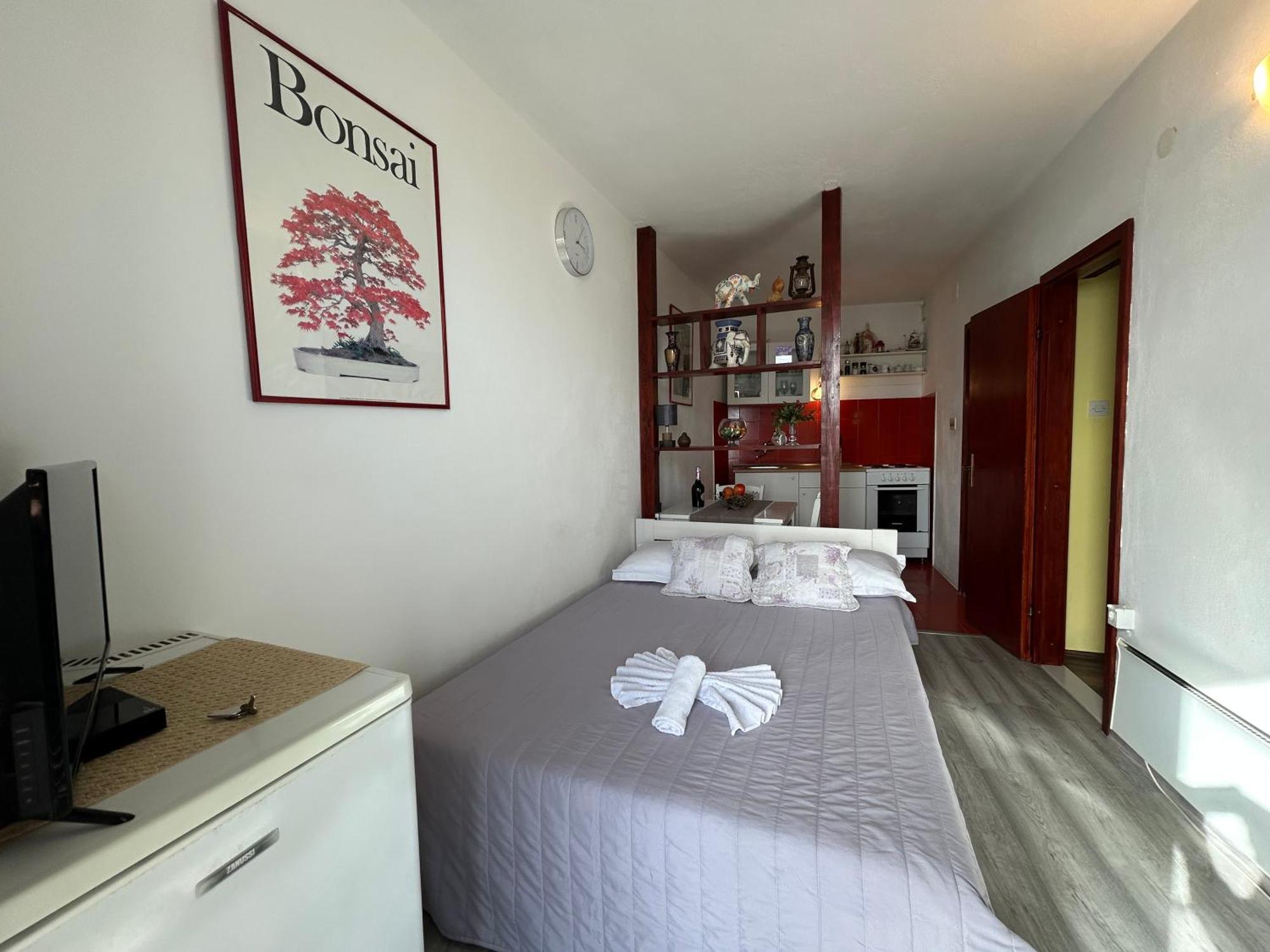 Seafront Studio Apartment+Balcony بودغورا المظهر الخارجي الصورة