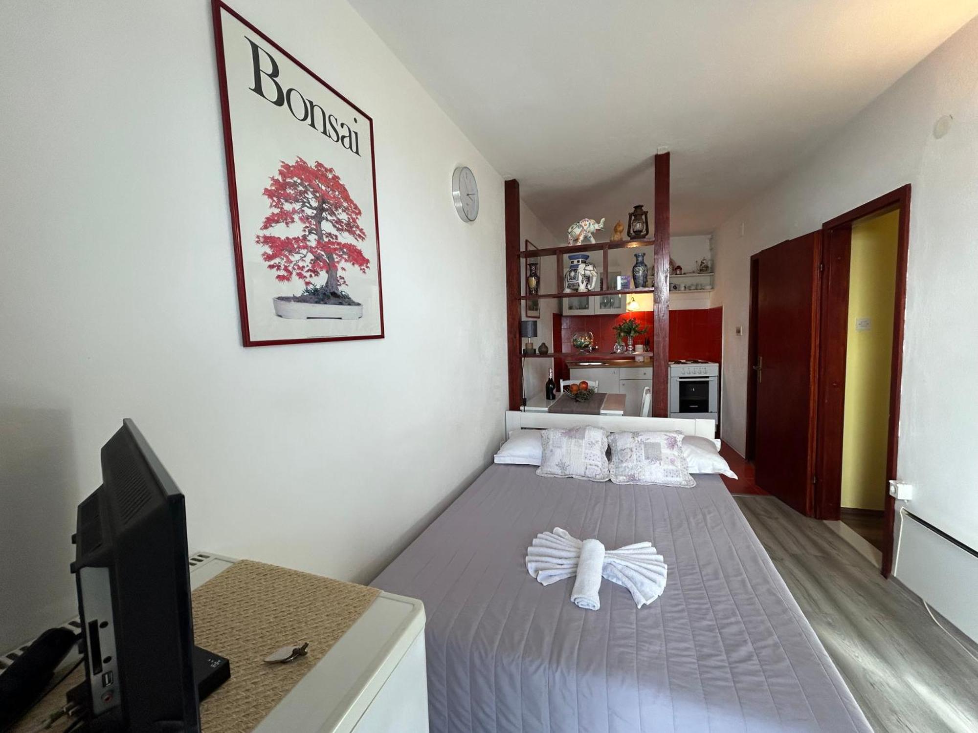 Seafront Studio Apartment+Balcony بودغورا المظهر الخارجي الصورة